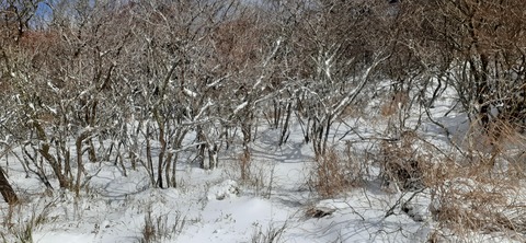 238-221(27-26)法華院温泉山荘1118_121008