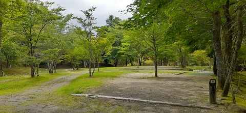 216-200(5-5)山鳥の森623_132326