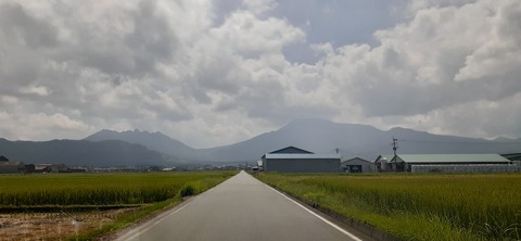 229-212(18-17)竹原牧場916_121235