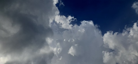 220-203(9-8)ゴンドーシャロレー722_154231