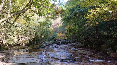 68-55(23-19)藤河内渓谷キャンプ場243S