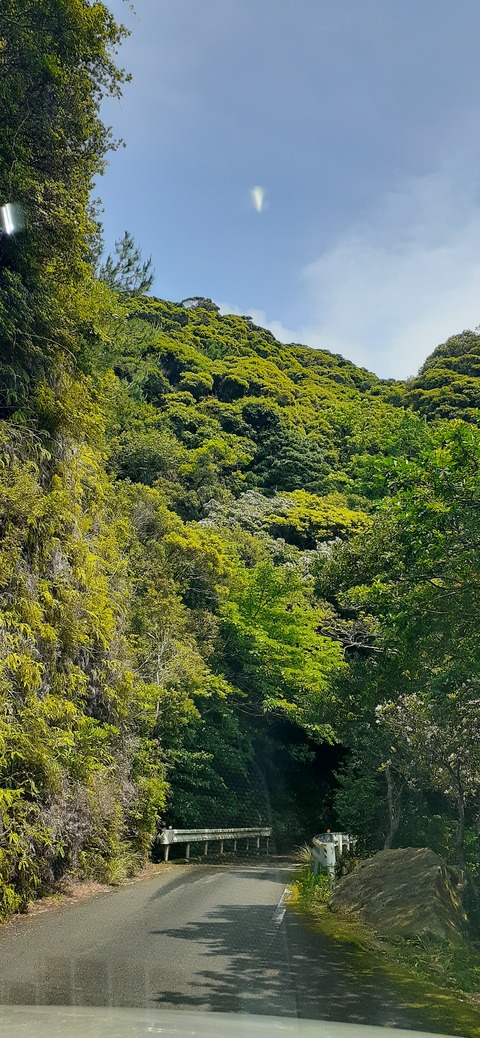 258-239(47-44)オーシャンビュー429_135458