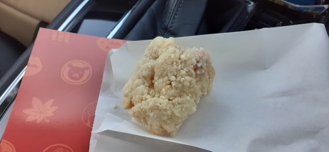 181-165(23-22)仲山城跡キャンプ場1104_110149