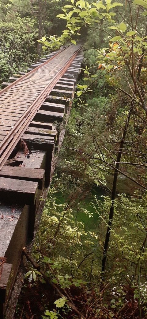 259-240(48-45)宮之浦岳新高塚小屋430_061628