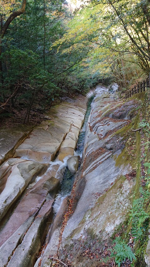 68-55(23-19)藤河内渓谷キャンプ場239S