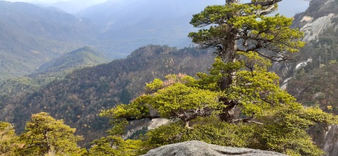 236-219(25-24)大崩山1104_143323