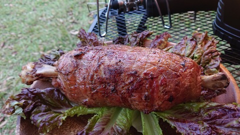 18-15池の山キャンプ場569