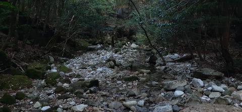 236-219(25-24)大崩山1104_070849