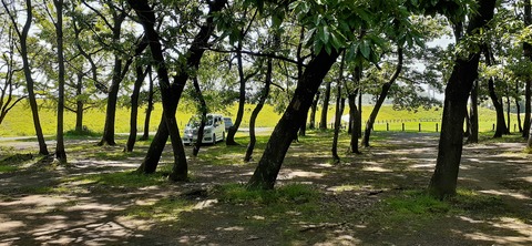 207-191(49-48)津志田河川公園乙女河原501_132416R