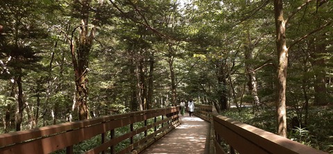 273-253(10-9) 上高地穂高岳817_123112