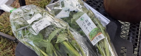 205-189(47-46)ラピュタファーム422_180937R