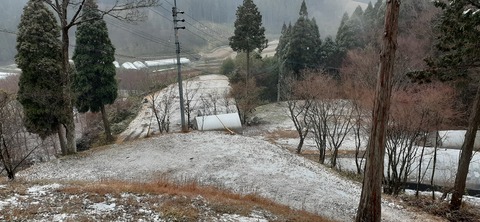 184-168(26-25)吉原ごんべえ村1217_143920