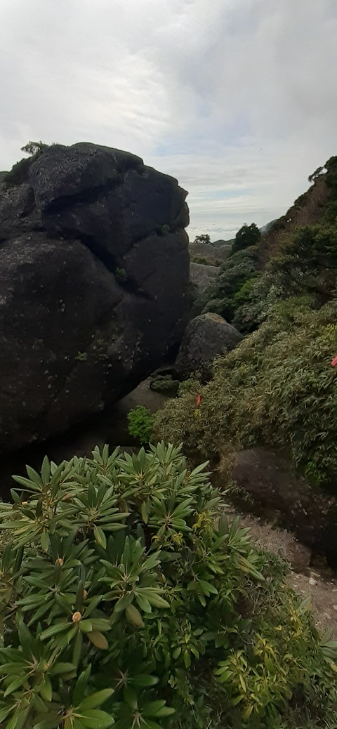 260-241(49-46)宮之浦岳淀川小屋501_160201