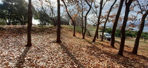 135-120(34-34)草枕山荘30_130342