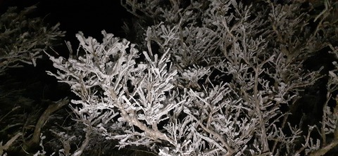 250-231(39-36)RECAMP志高湖 由布岳211_055721