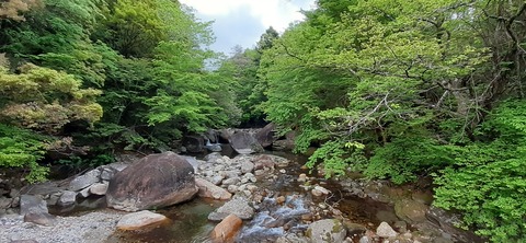 156-141(55-55)鹿川キャンプ場505_153518