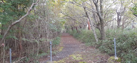 233-216(22-21)9.BASE1014_102351