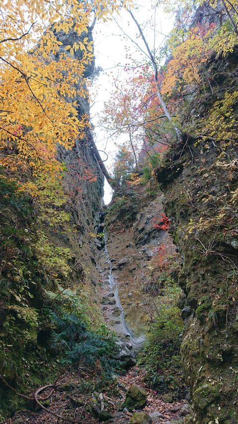 124-109(23-23)英彦山野営場104