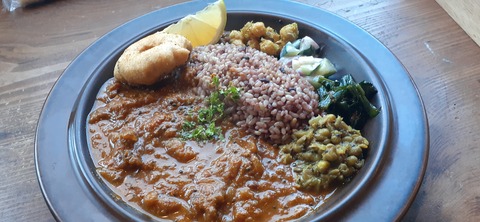 182-166(24-23)長湯きらりキャンプ場1105_125606