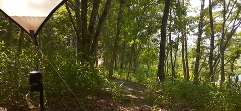 215-199(4-4)YUNOMORI CAMP SITE617_145005