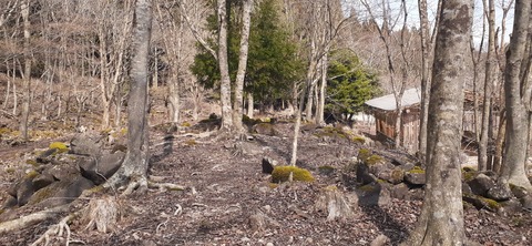 252-233(41-38)牧の原キャンプ場④309_121043