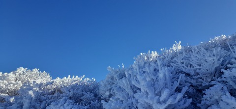 245-227(34-32)法華院温泉山荘104_093337