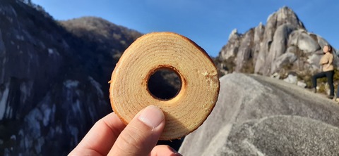 236-219(25-24)大崩山1104_084856