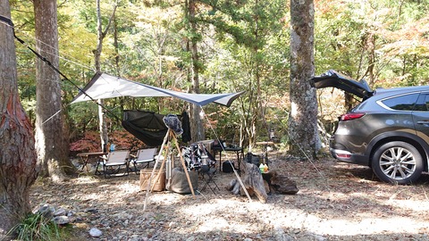 68-55(23-19)藤河内渓谷キャンプ場216S