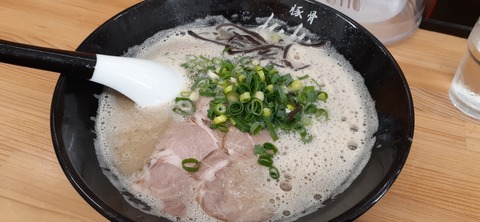 151-136(50-50)423豚骨れんれん_123245