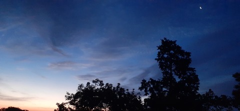 266-247(3-3)天空の杜602_043912