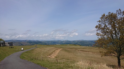 96-81(51-45)伐株山憩いの森556