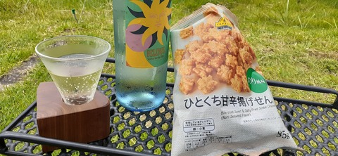 223-206(12-11)四季見原すこやかの森②815_131739