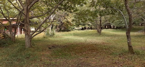 233-216(22-21)9.BASE1014_145307