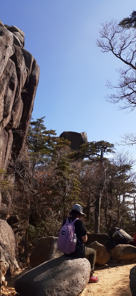 236-219(25-24)大崩山1104_103404