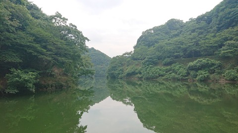 Dキャンプ 菊川自然活用村17