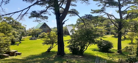 164-149(6-6)長野山緑地公園702_112313