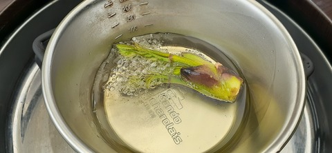 254-235(43-40)長崎鼻リゾート②330_141701