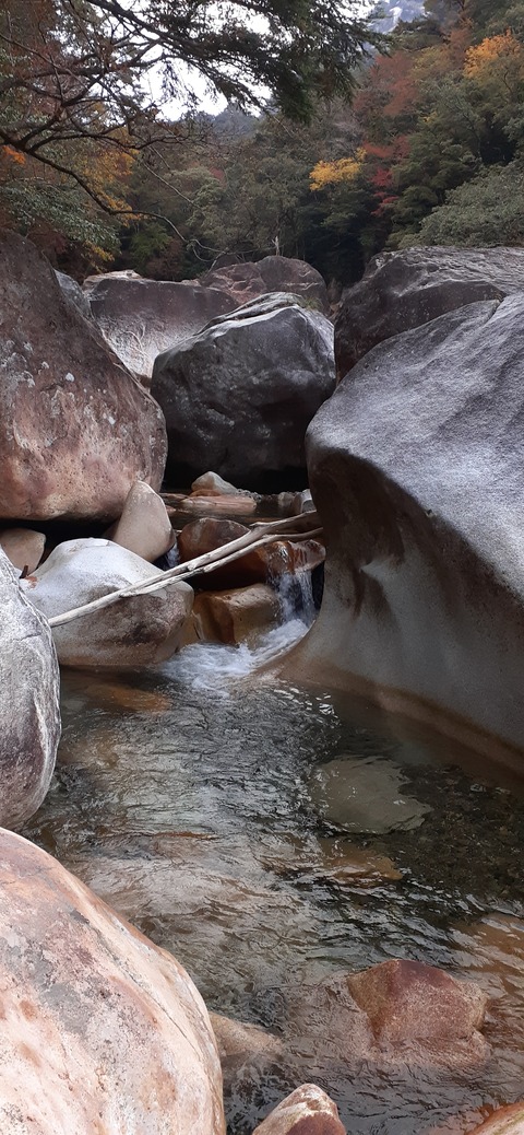 236-219(25-24)大崩山1104_161754