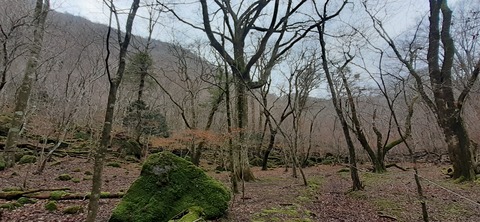 245-227(34-32)法華院温泉山荘103_094900