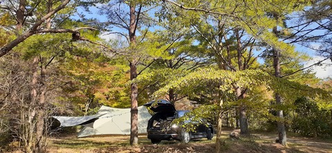 179-163(21-20)ゴンドーシャロレー7泊目1029_134351