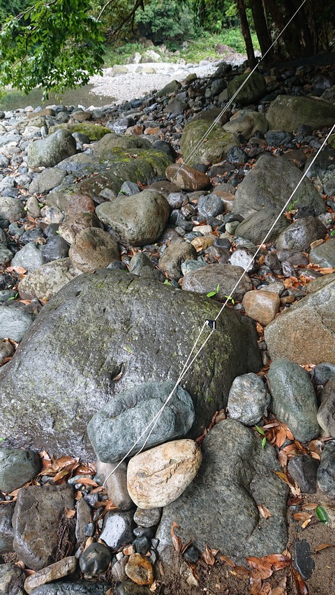 55-44(10-8)カワセミ公園989S