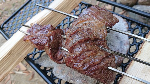 68-55(23-19)藤河内渓谷キャンプ場258S