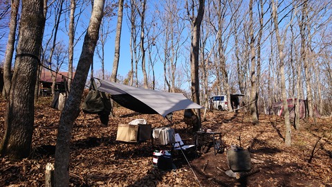 126-111(25-25)CAMP✕WOODS352