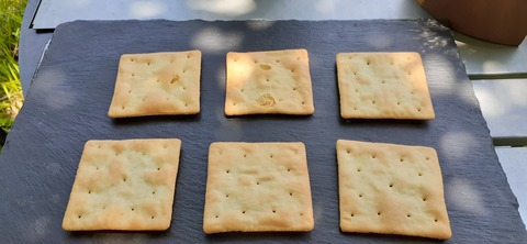 164-149(6-6)長野山緑地公園702_124756