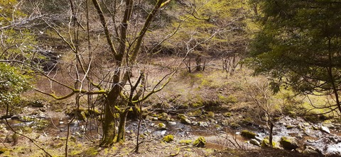 202-186(44-43)八木山渓流公園325_111536