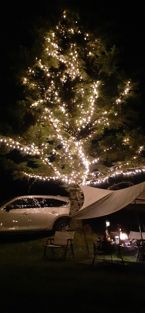 205-189(47-46)ラピュタファーム422_215709