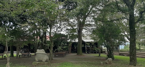 229-212(18-17)竹原牧場916_124600