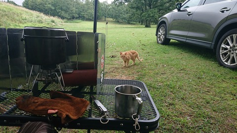 59-48(14-12)瀬の本高原オートキャンプ場444S