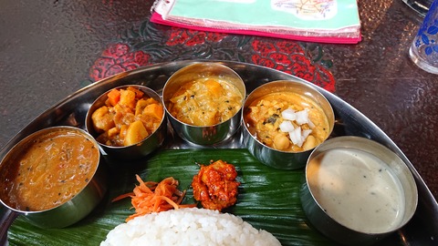 33-26萩阿武川温泉キャンプ場368