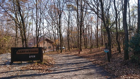 126-111(25-25)CAMP✕WOODS341